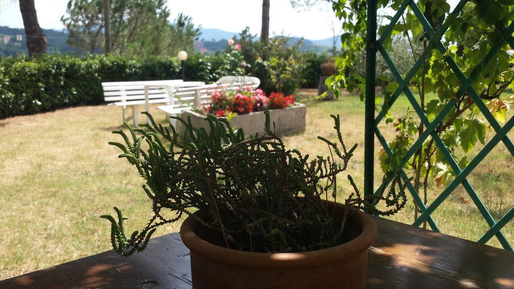 Agriturismo Il Catrino Ponteginori Εξωτερικό φωτογραφία