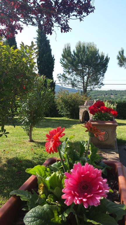 Agriturismo Il Catrino Ponteginori Εξωτερικό φωτογραφία