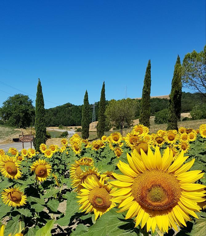 Agriturismo Il Catrino Ponteginori Εξωτερικό φωτογραφία