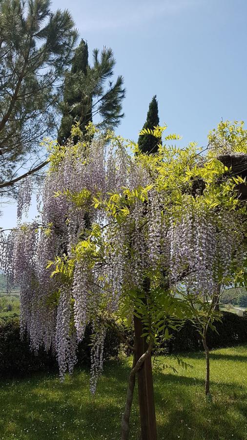 Agriturismo Il Catrino Ponteginori Εξωτερικό φωτογραφία