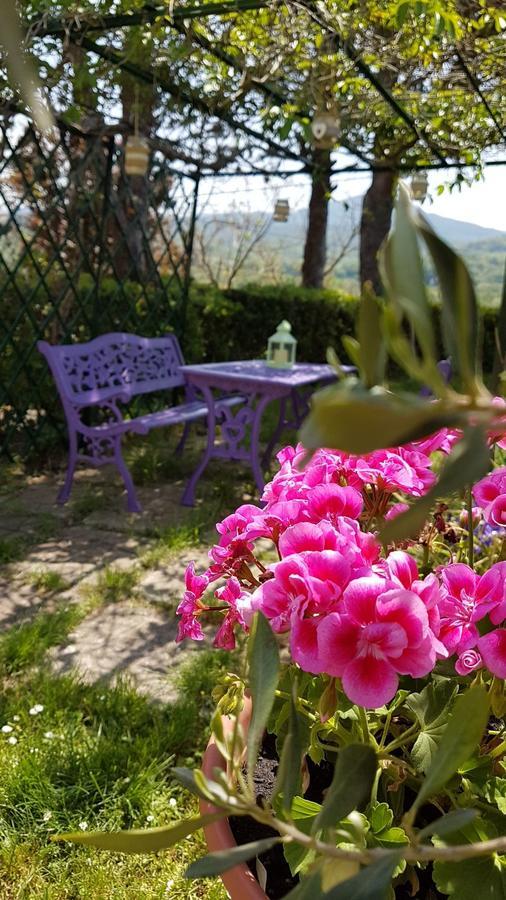 Agriturismo Il Catrino Ponteginori Εξωτερικό φωτογραφία