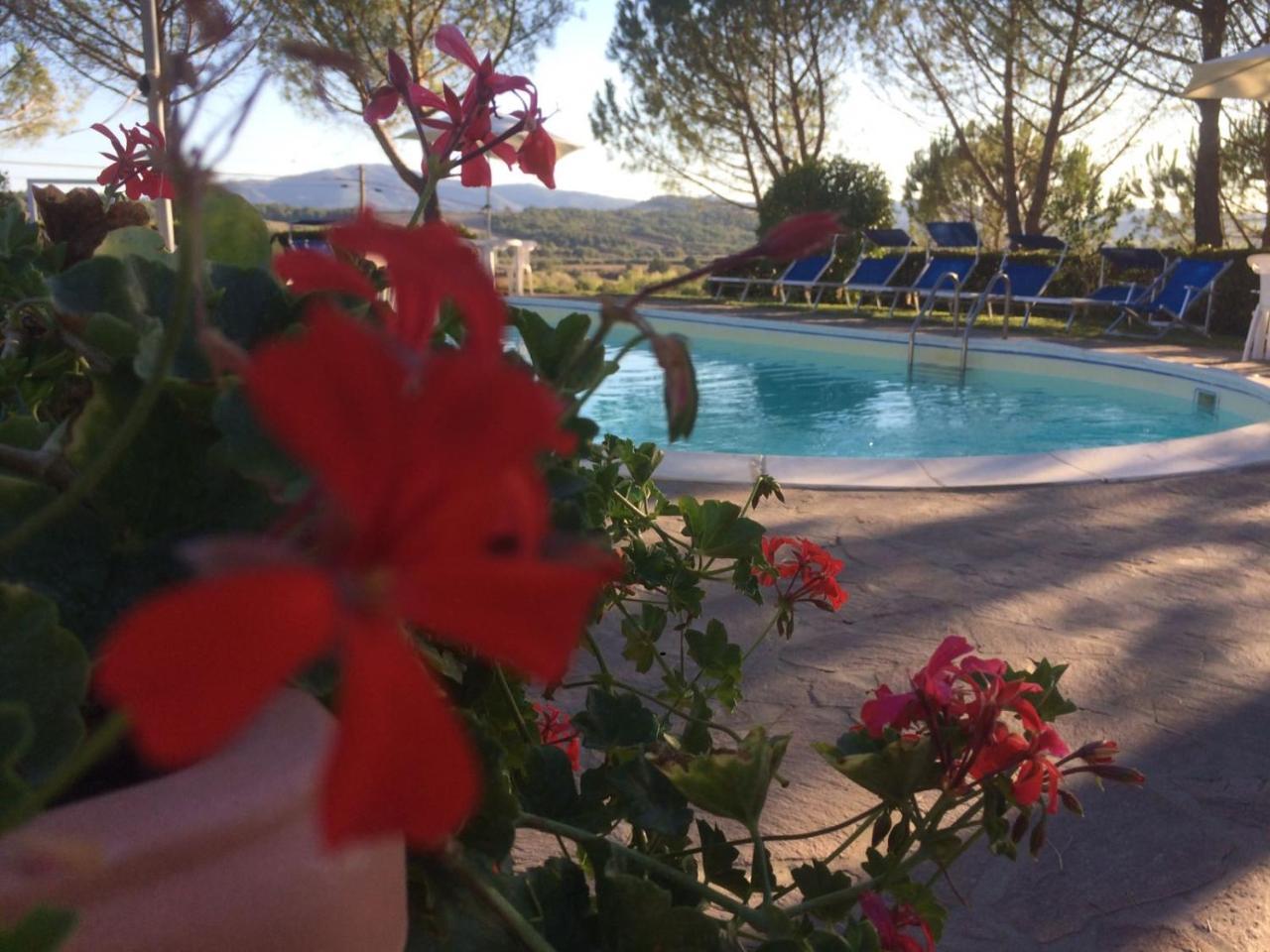 Agriturismo Il Catrino Ponteginori Εξωτερικό φωτογραφία